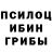 Псилоцибиновые грибы ЛСД GAYDAR PLAY