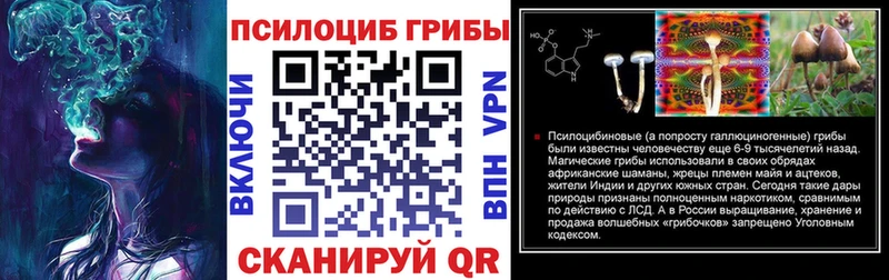 Галлюциногенные грибы Psilocybe дарнет шоп Братск