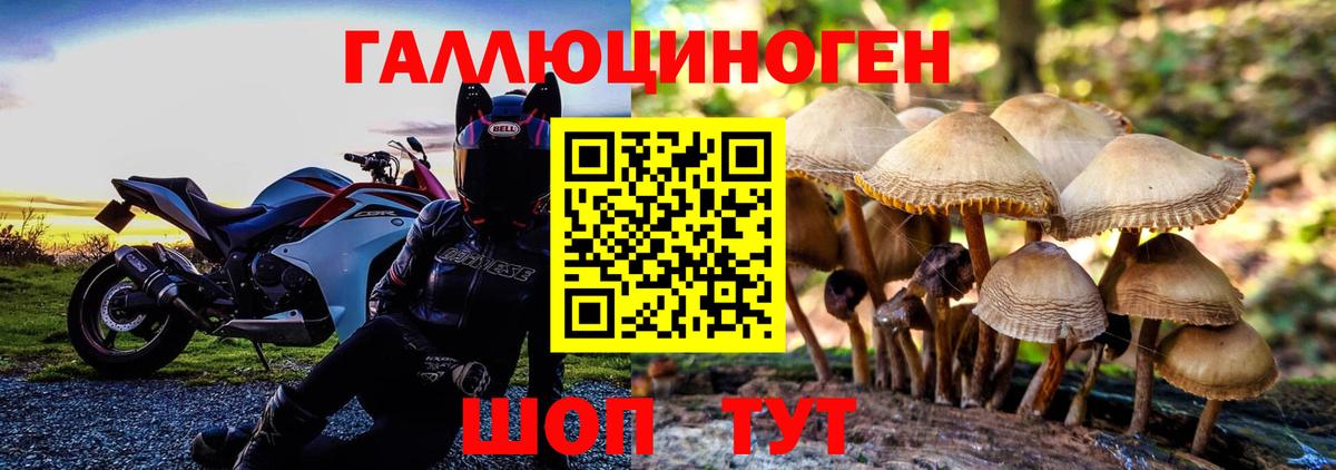 Галлюциногенные грибы мицелий  Вход с VPN  Галлюциногенные грибы MAGIC MUSHROOMS  Братск 