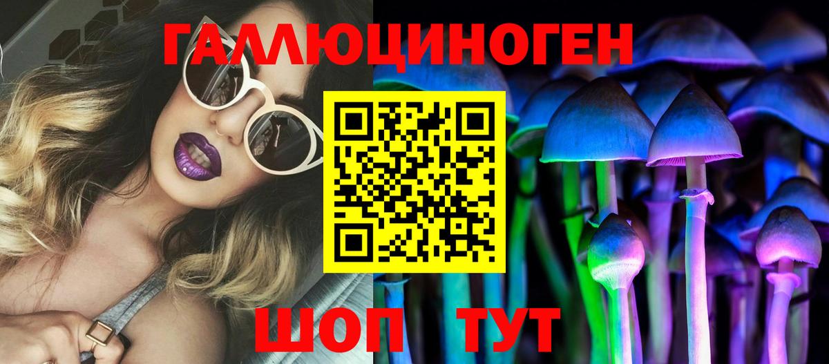 Псилоцибиновые грибы GOLDEN TEACHER  Братск  Галлюциногенные грибы мицелий 