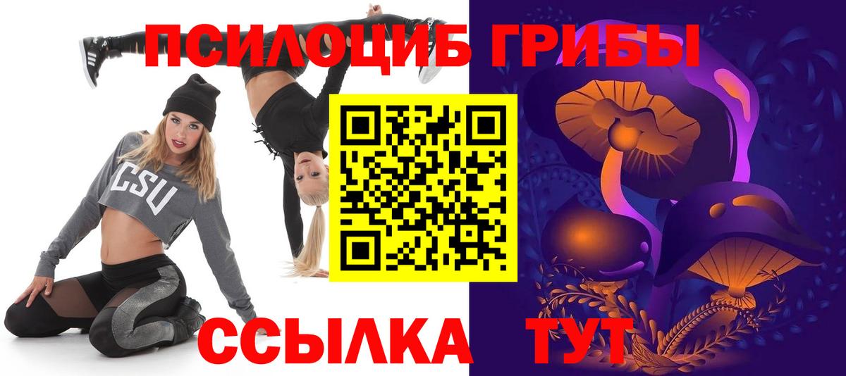 Псилоцибиновые грибы Psilocybe Братск